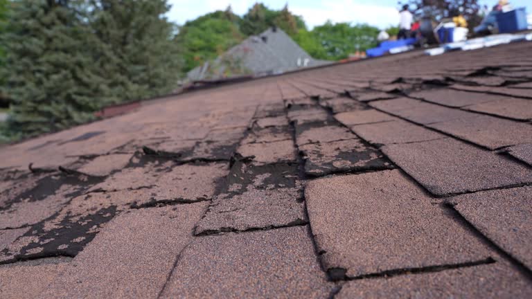 Reliable Broomfield, CO Roofing Service Solutions