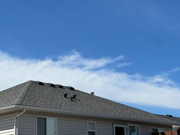 Best Green or Eco-Friendly Roofing Solutions  in Broomfield, CO